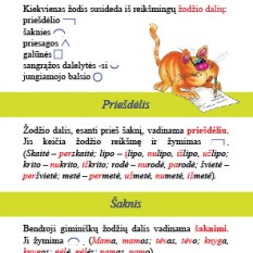 Katino Teodoro  lietuvių kalbos taisyklių rinkinukas pradinukams