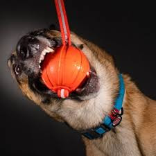 LIKER LINE Dog toy kamuoliukas su gumuota juosta