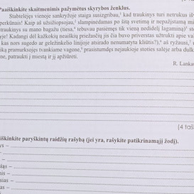 Vytautas Šalavėjus. Lietuvių kalbos užduotys 9-10 klasei (su atsakymais)