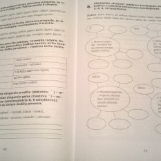Lietuvių kalbos mokomoji priemonė 8 klasė. 3 dalis (mokiniams, besimokantiems pagal pritaikytas programas, su atsakymais)