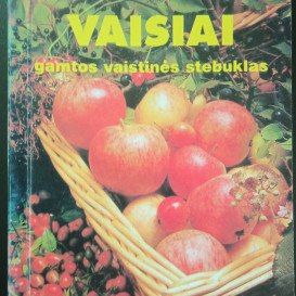 Naudota knyga. Petras Dagilis, Vytautas Muralis. Uogos ir vaisiai – gamtos vaistinės stebuklas